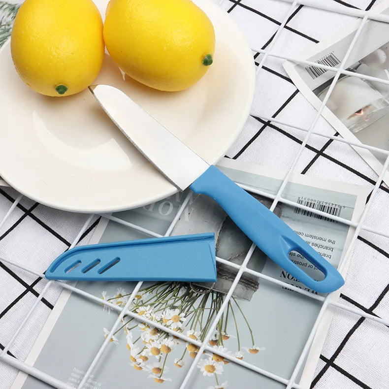 Stainless Steel Vegetable Slicing Knife